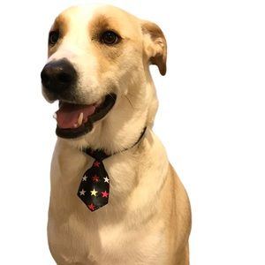 3/$20 Adjusting Dog Tie Collar